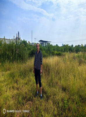 1736410341569267.png cddddf5bdcc43ed30ab416382bc22aa.png